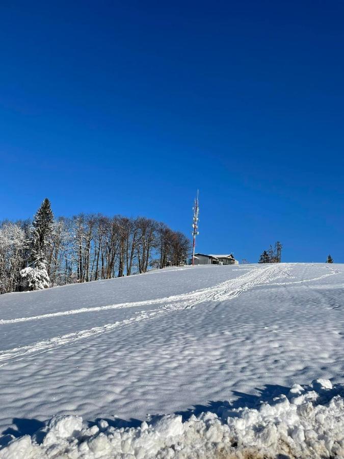 Planinski Dom Jance Ljubljana Buitenkant foto